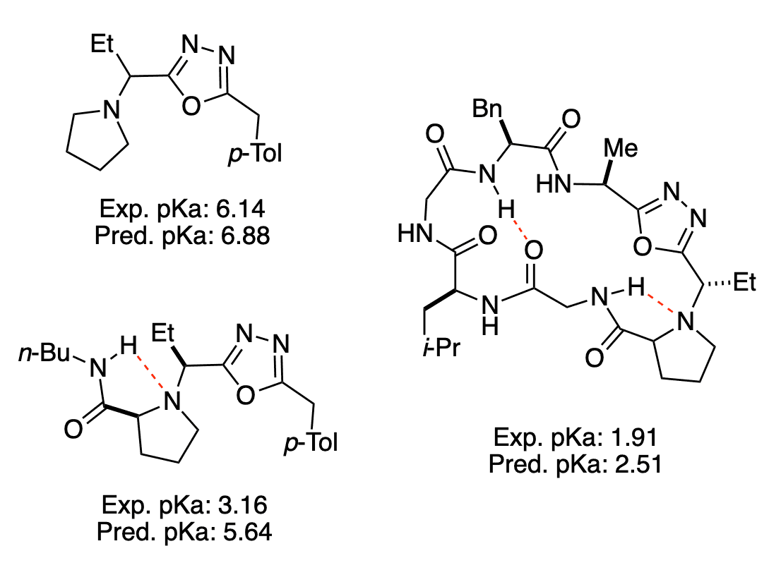 Figure 10. Comparison of predicted and experimentally measured pKa values for various oxadiazole/pyrrolidine-containing structures, with the intramolecular hydrogen bonds proposed by Yudin and co-workers illustrated in red.