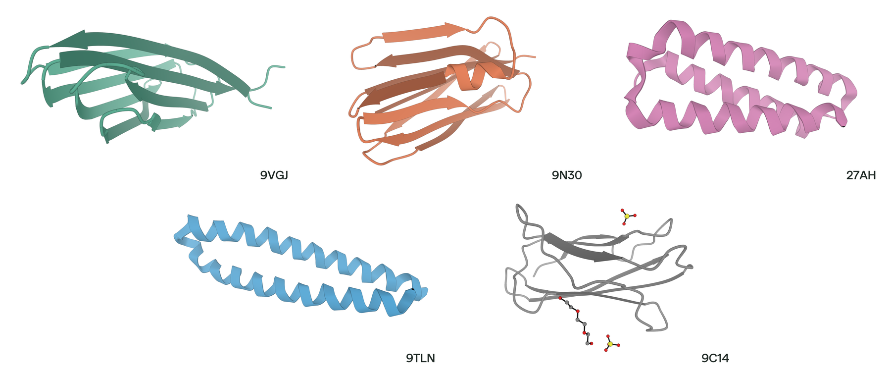 Structures of the five design targets: 9VGJ, 9N30, 27AH, 9TLN, and
9C14.