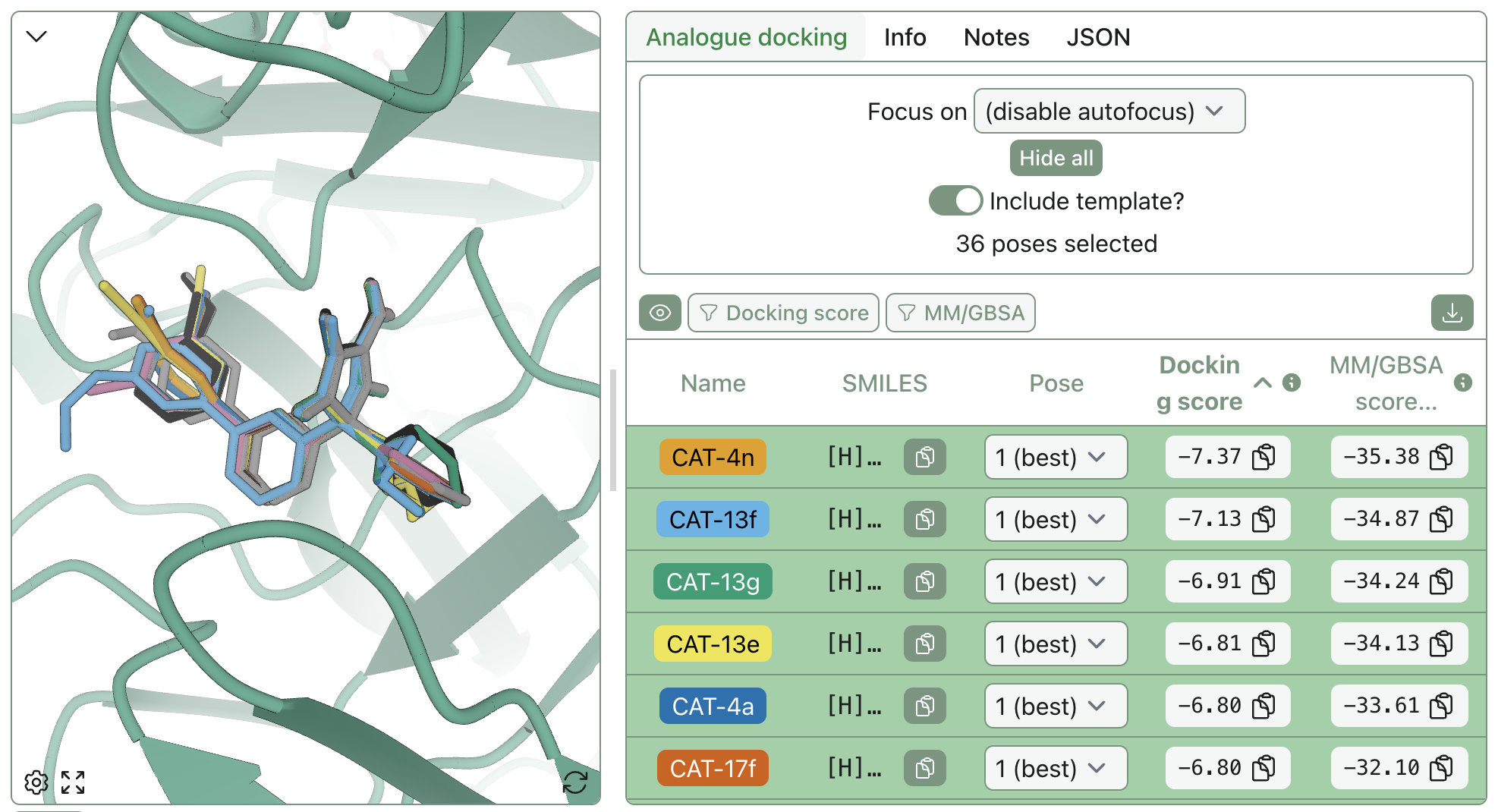 Overlay of the best Vina-ranked BACE analogue poses after MM/GBSA optimization.