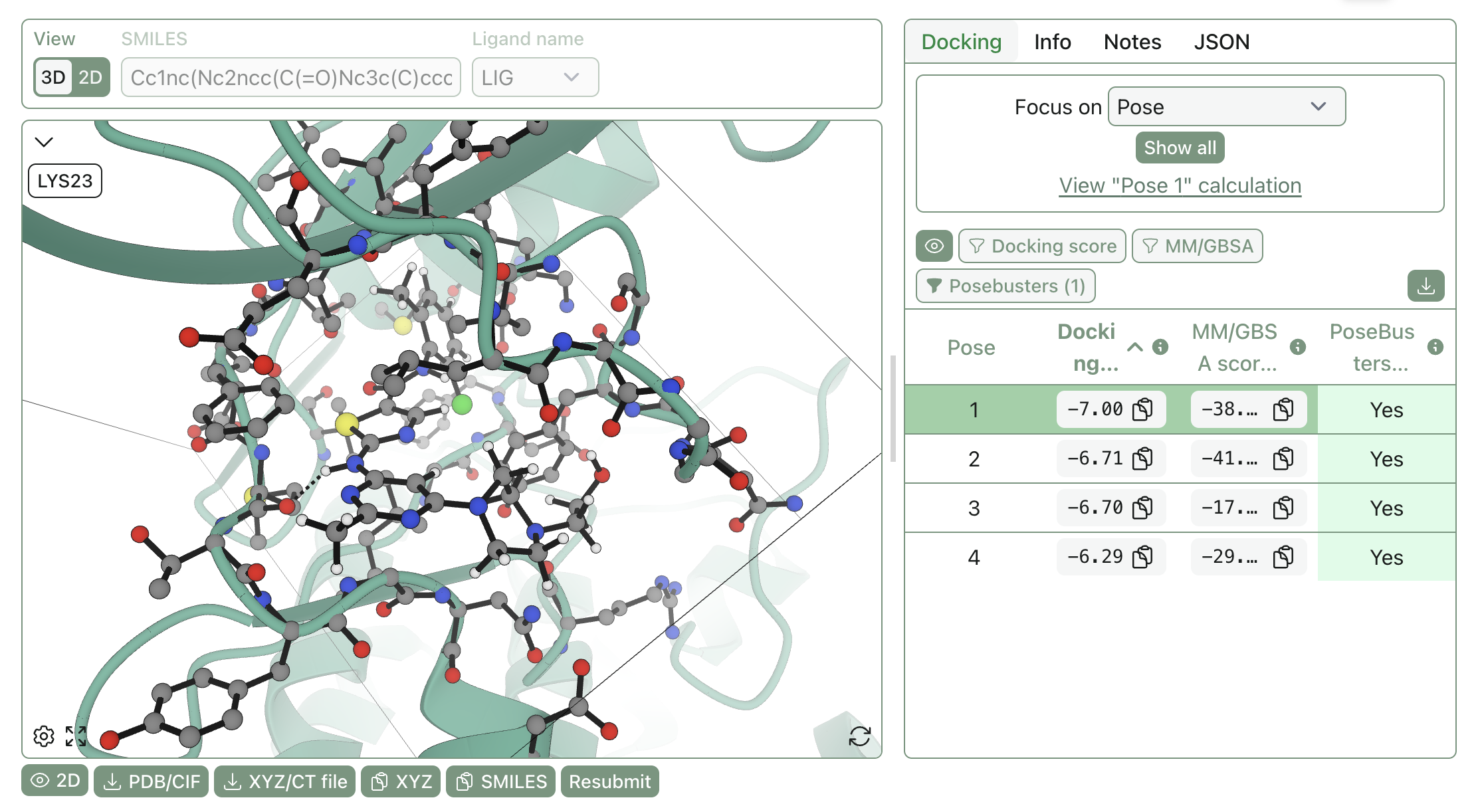 A 3D view of a protein–ligand pose.