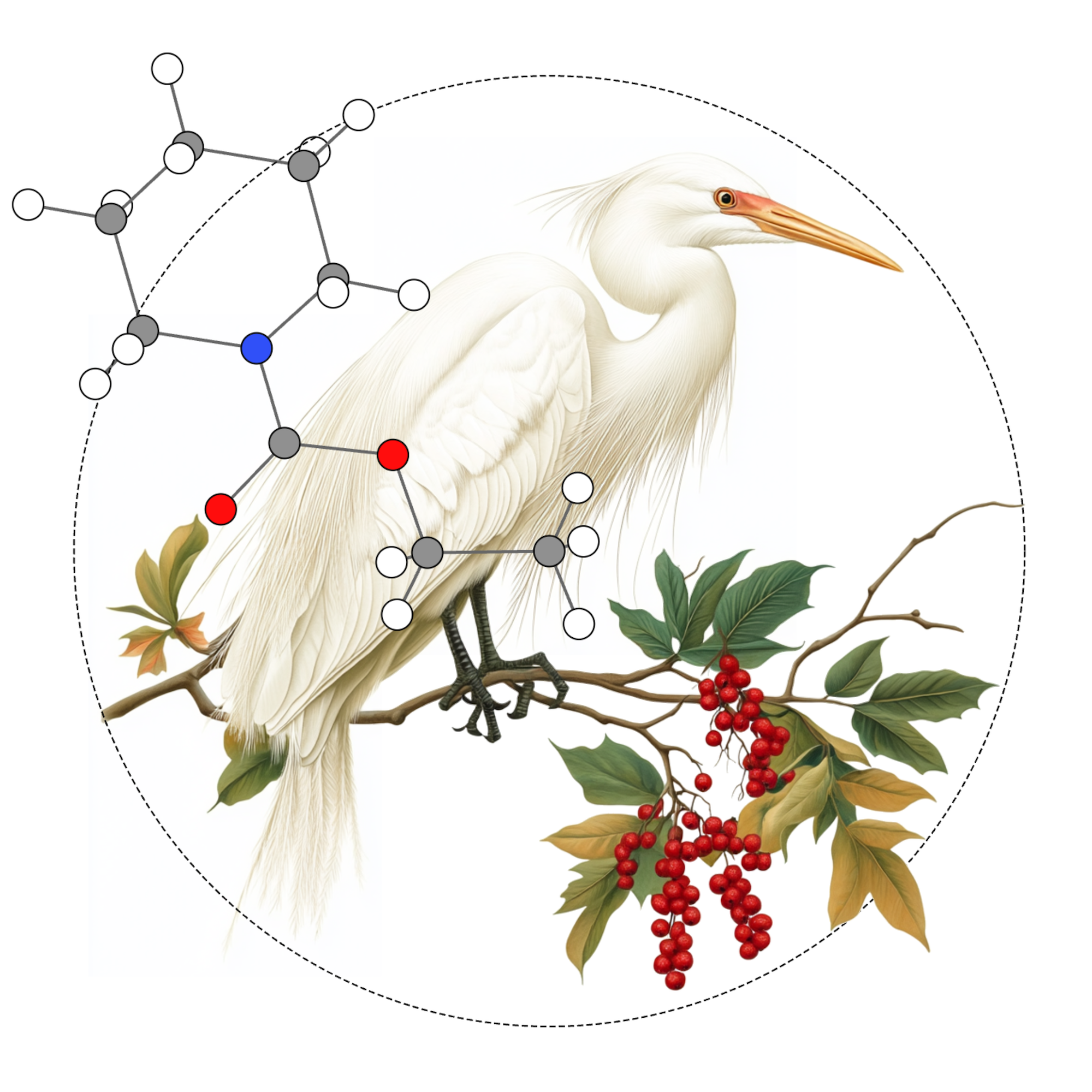 Introducing Egret-1