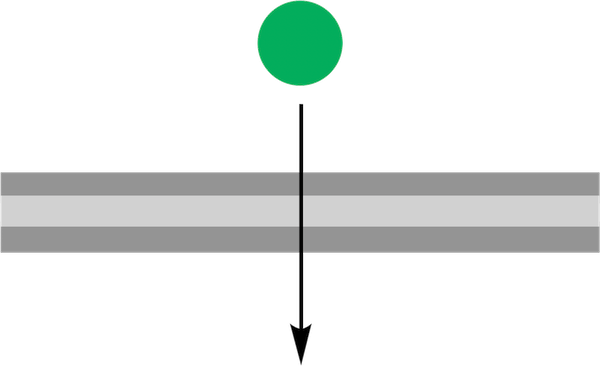 Membrane permeability prediction
