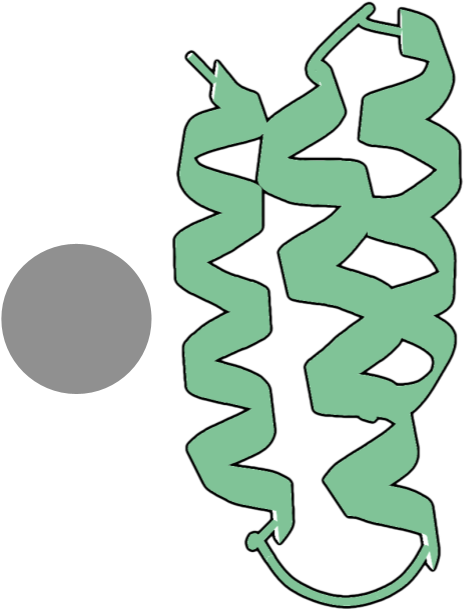 BoltzGen (Protein binder design)